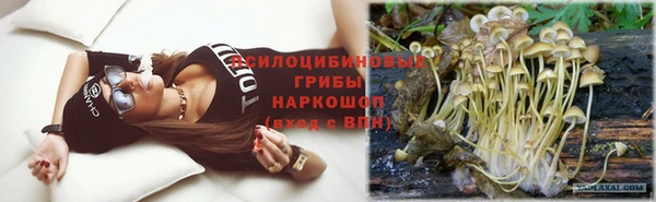 трава Надым