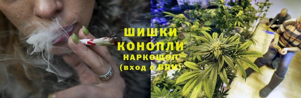 трава Надым