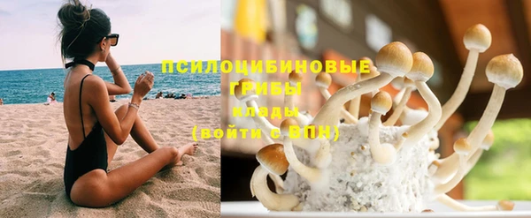 трава Надым