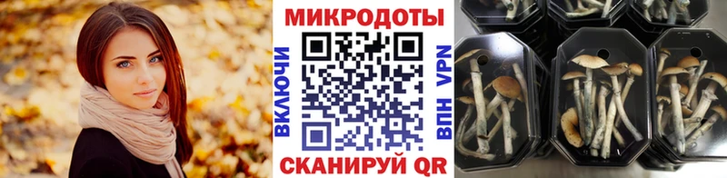 как найти наркотики Южа Галлюциногенные грибы MAGIC MUSHROOMS